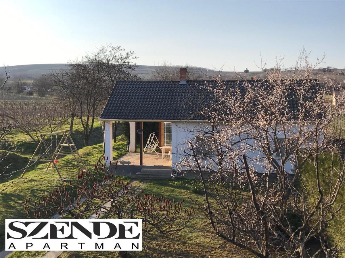 Apartamento Szende *