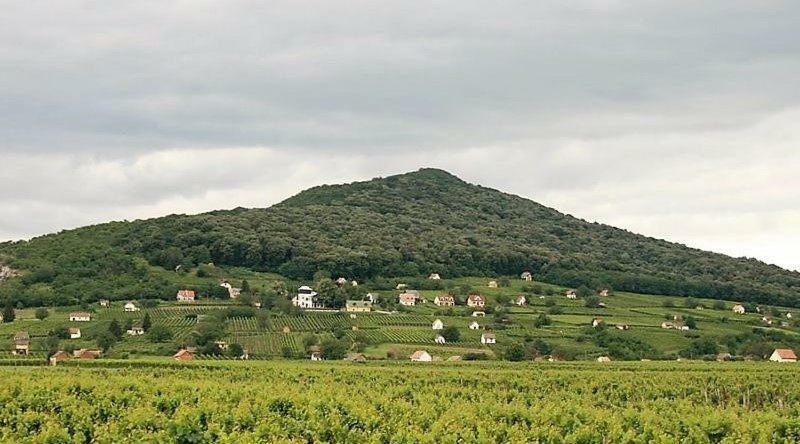 Szende